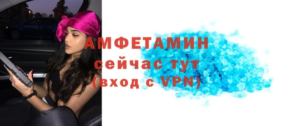 a pvp Пересвет