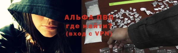 a pvp Пересвет