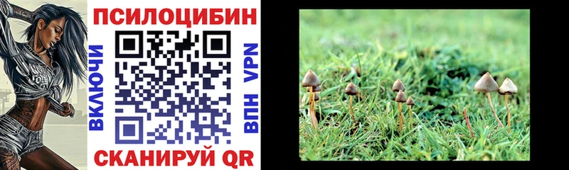Псилоцибиновые грибы Cubensis  наркошоп  Сердобск 