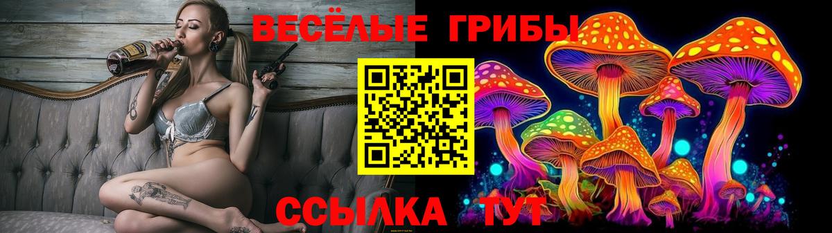 Галлюциногенные грибы Psilocybine cubensis  Сердобск  Галлюциногенные грибы Magic Shrooms 